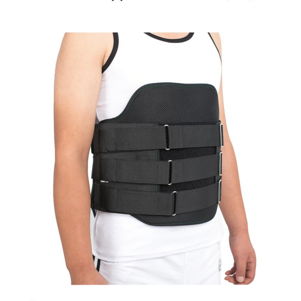 Lumbar Support Orthosis (Ⅱ)