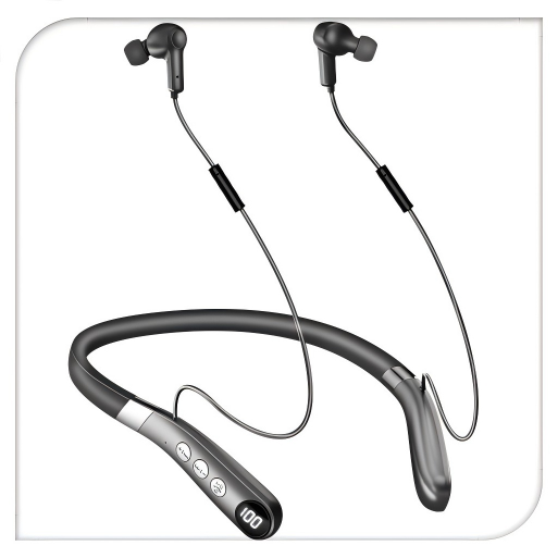 Hearing Aid