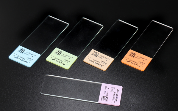 Laboratory Consumables Color Frosted Paint Coated Microscope Glass Slides For Histology