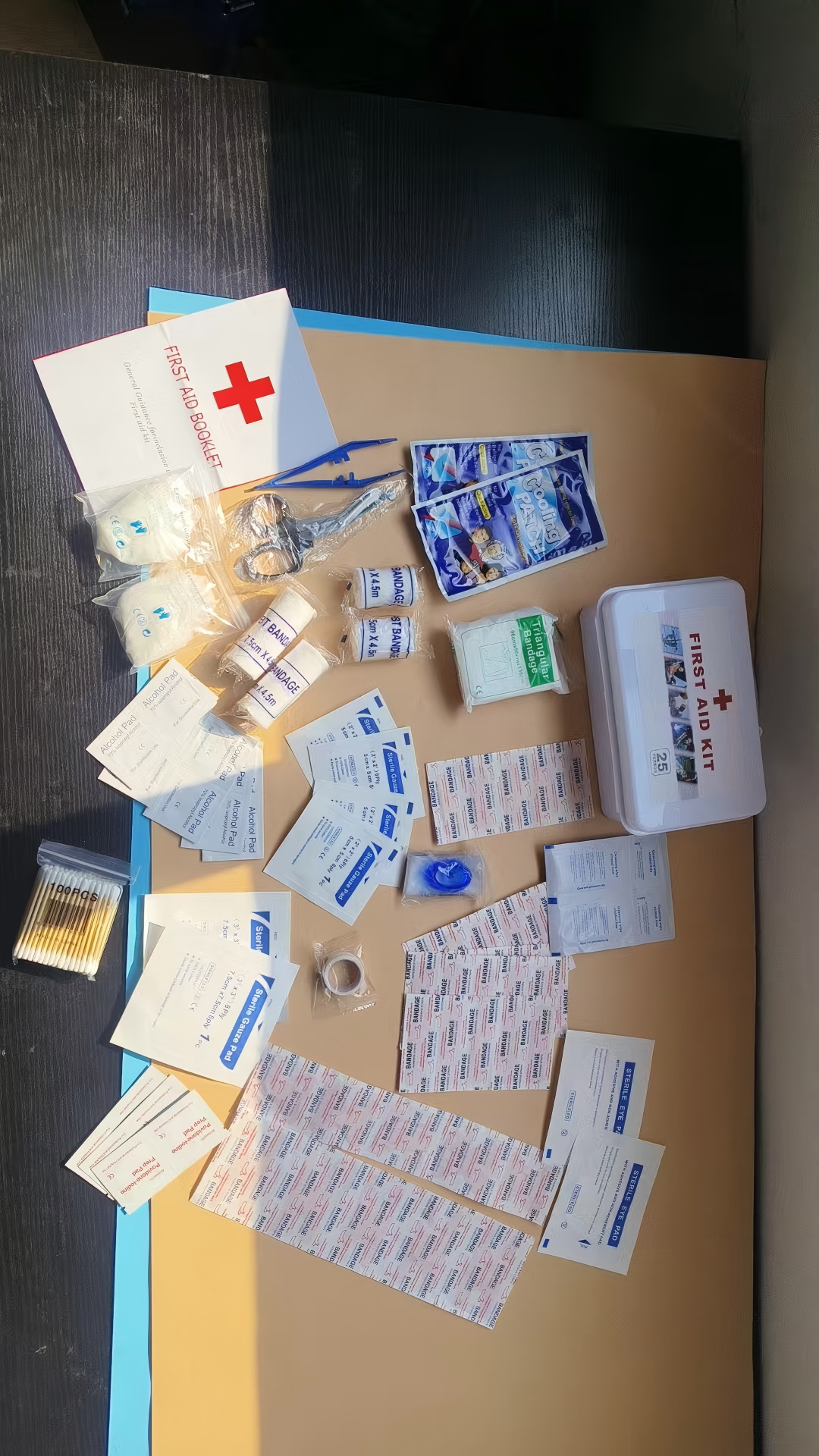 22-Piece First Aid Kit