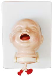 The Model of Newborn Intubation