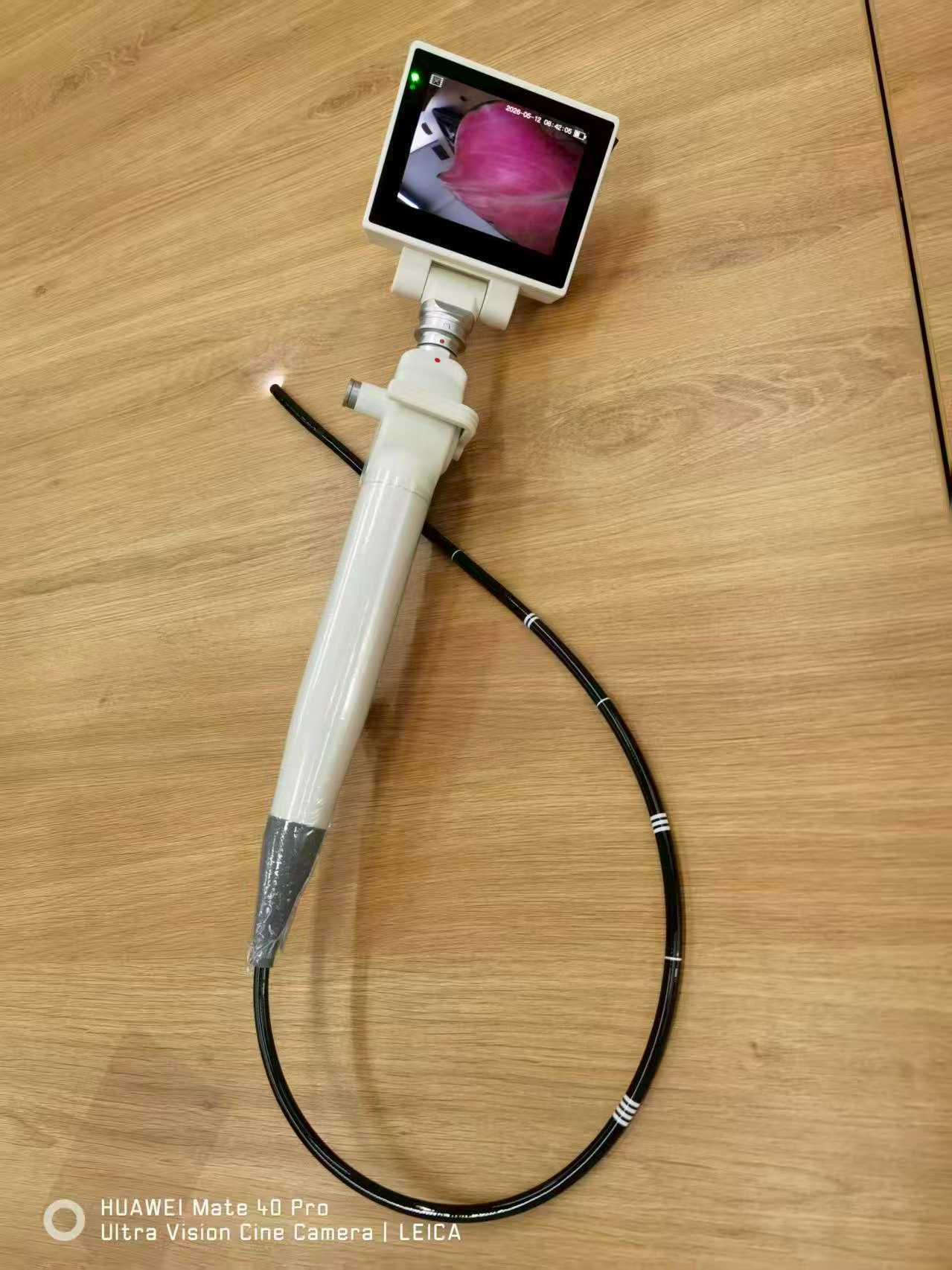 Electronic Bronchoscope