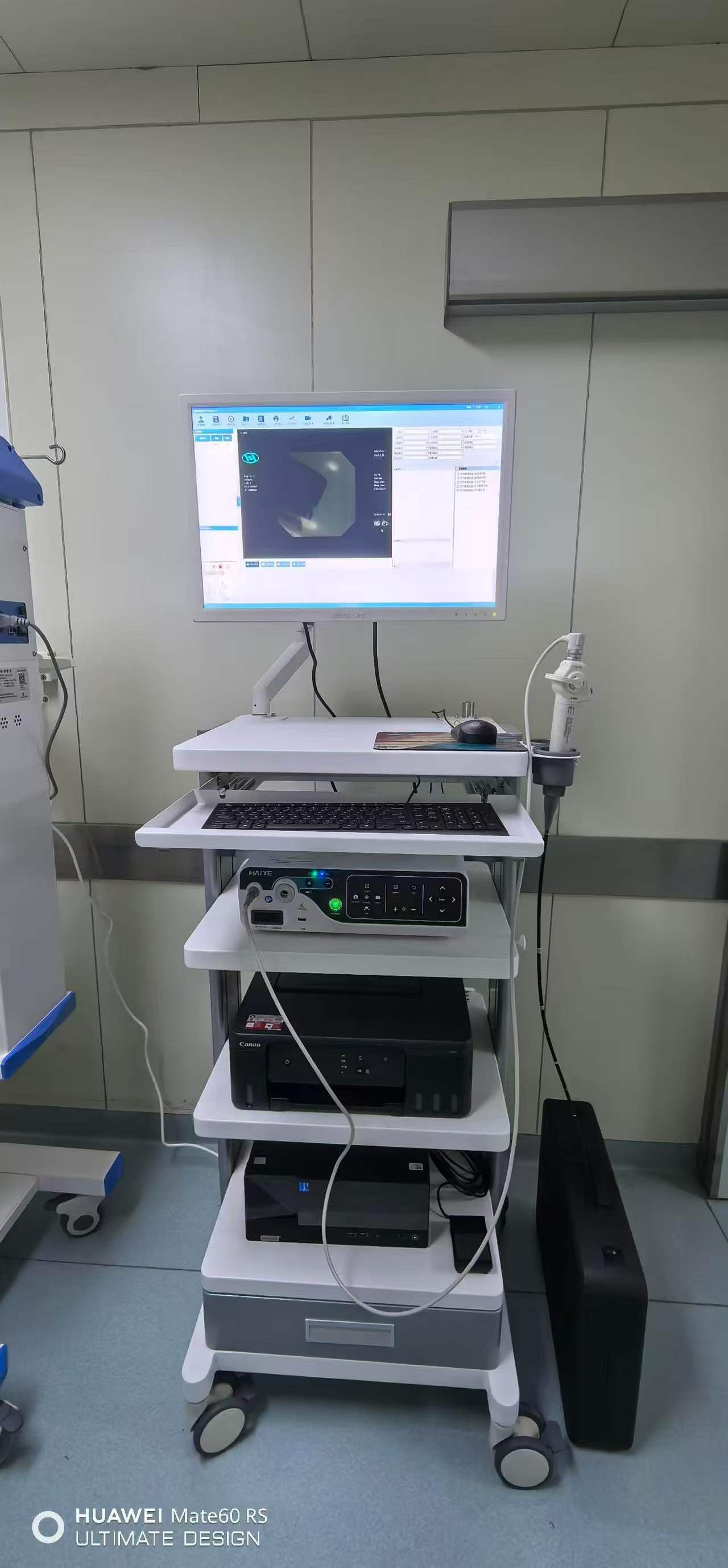 Electronic Bronchoscope