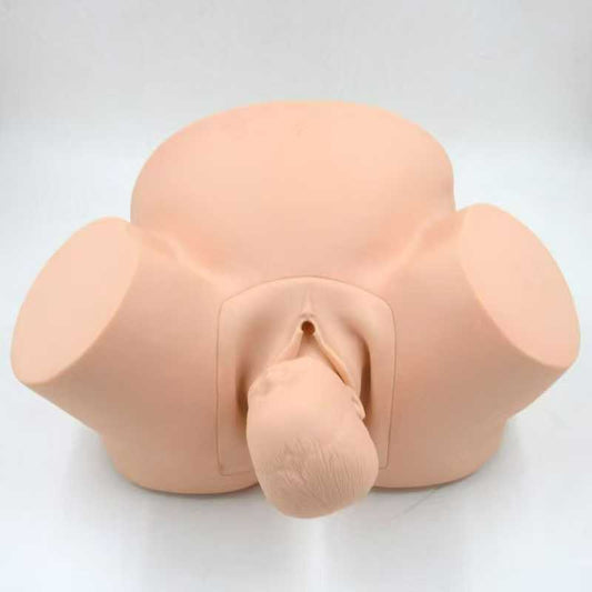 Advanced Birth Delivery Training Manikin for Midwifery Teaching