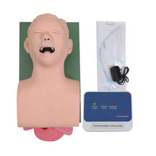 Electronic Tracheal Intubation Training Manikin with Digital Feedback Monitor, Adult Airway Intubation Practice Model for Medical School