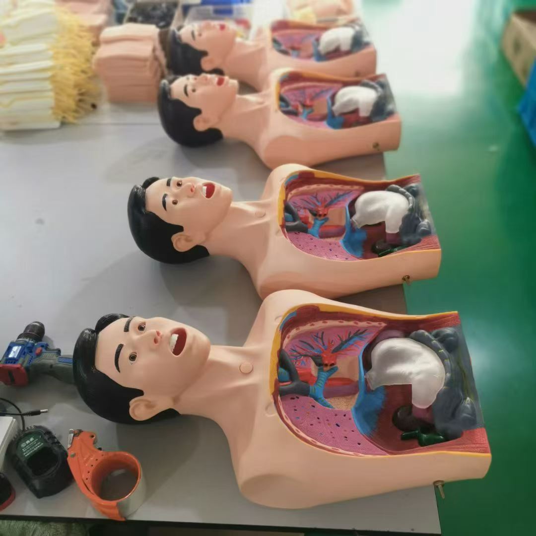 Advanced Transparent Gastric Lavage Training Manikin