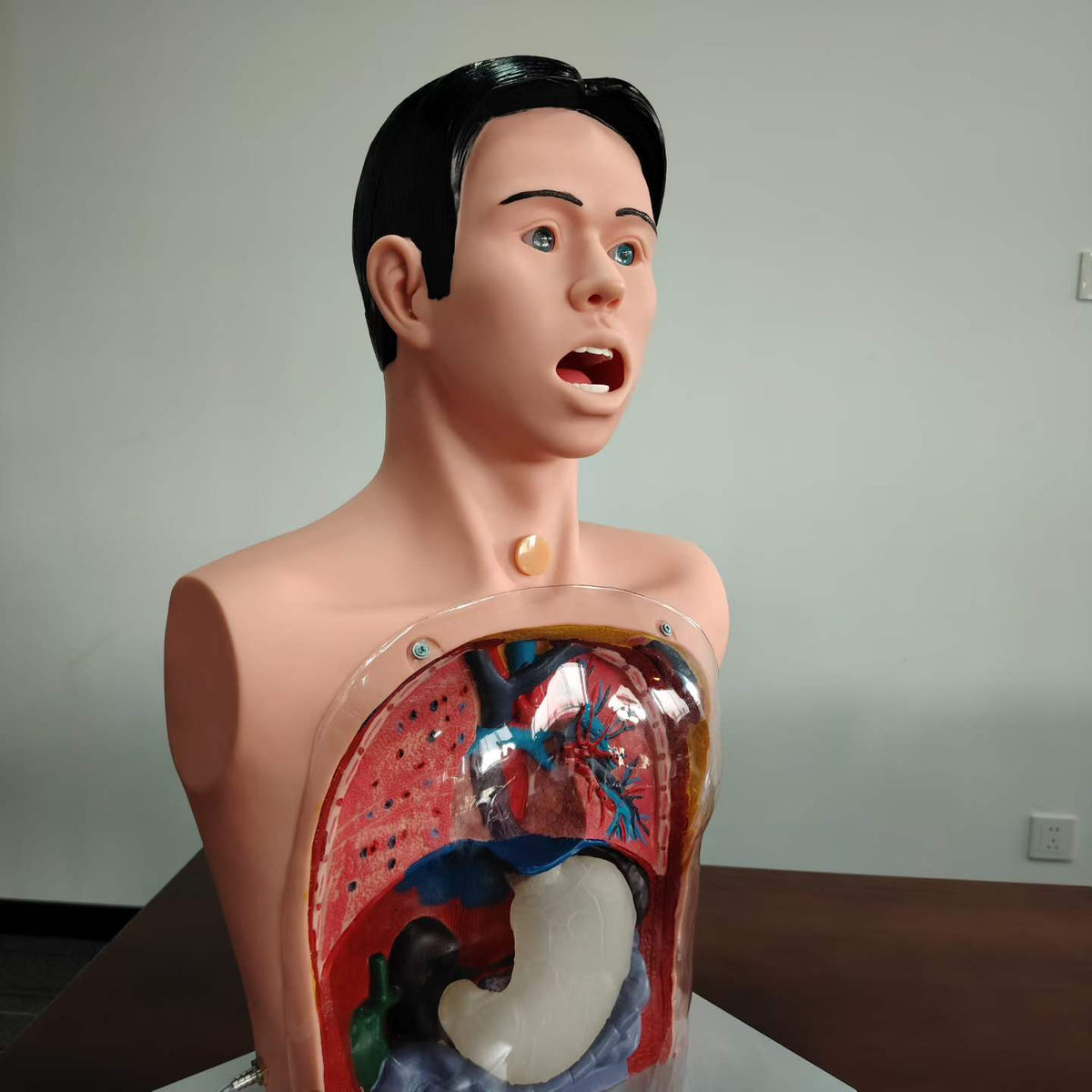 Advanced Transparent Gastric Lavage Training Manikin