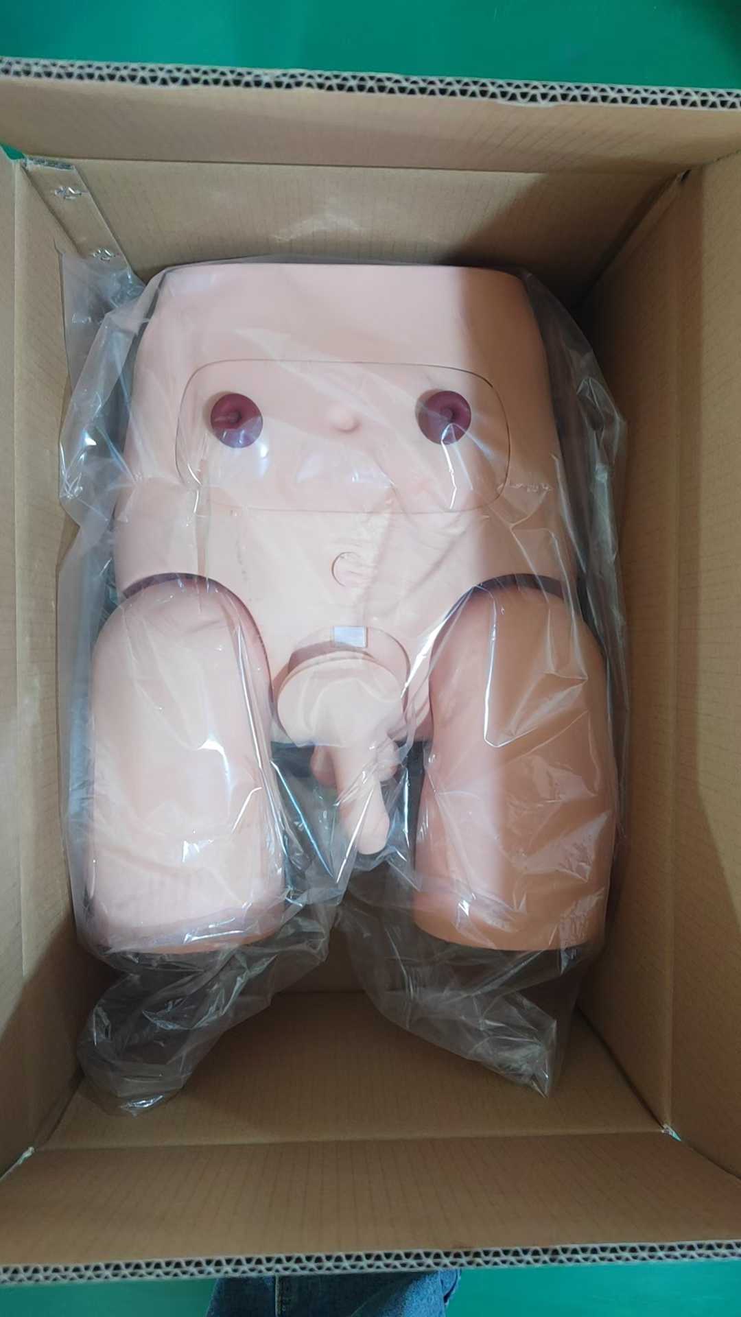 Male Catheterization Training Mannequin, Urethral Catheter Practice Simulator