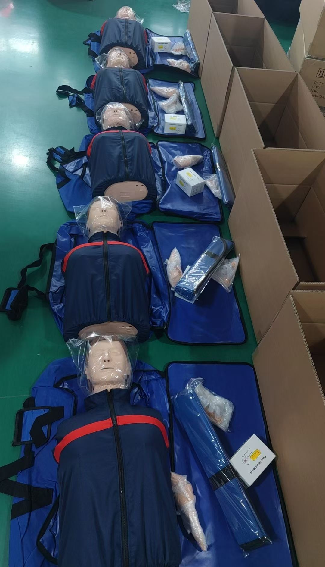 Half-Body Cardiopulmonary Resuscitation Training Manikin with Endotracheal Intubation Function