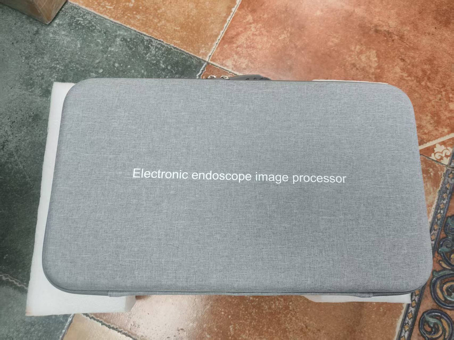 Electronic Bronchoscope