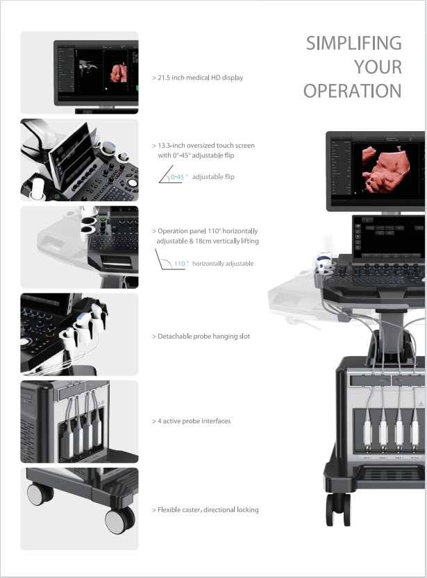 Trolley Color Ultrasonic Diagnostic Apparatus