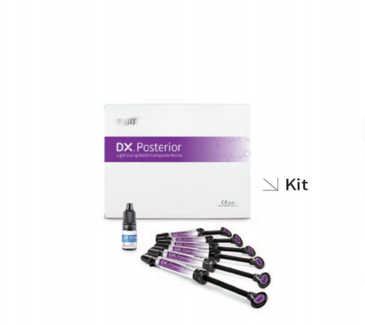 Posterior Light Curing Dental Composite Resins