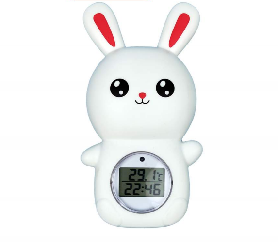 Thermometer