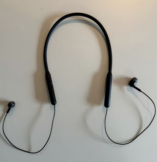 Hearing Aid