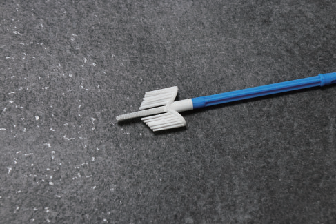 Cytology Brush