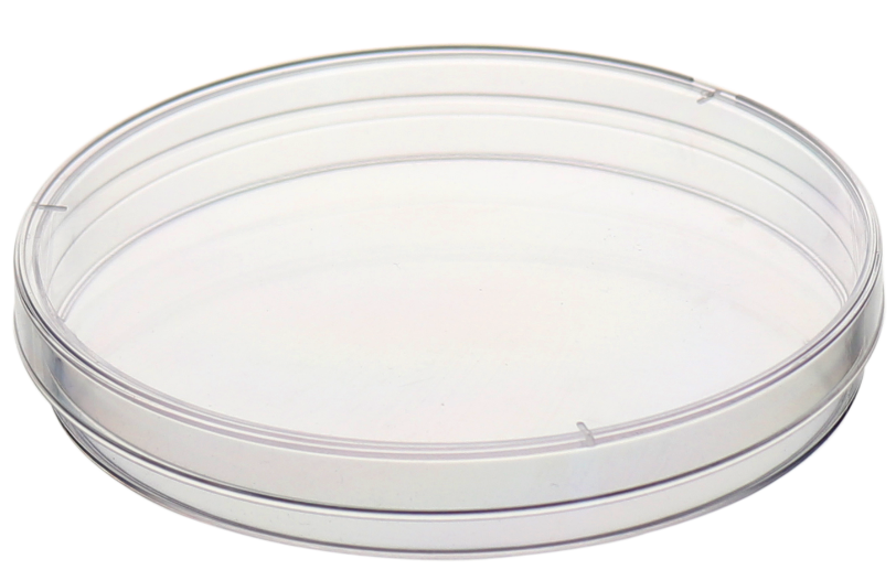 Plastic Petri Dish