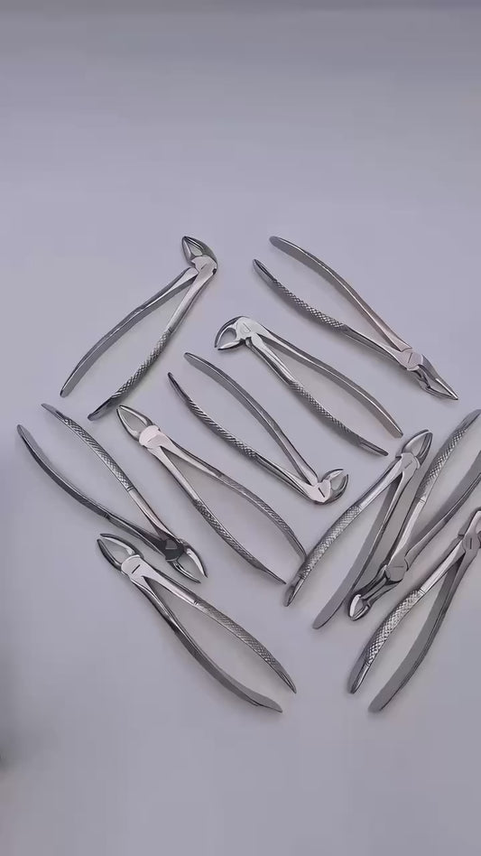10 Pcs Dental Extraction Forceps Set
